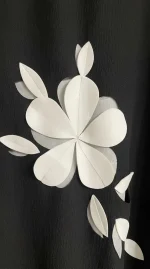 پیراهن سایه